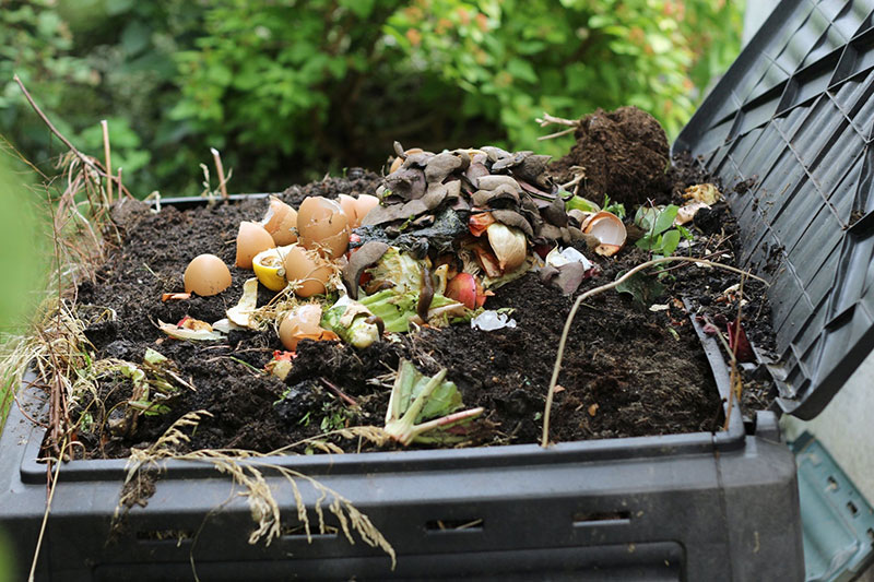 compost dechets