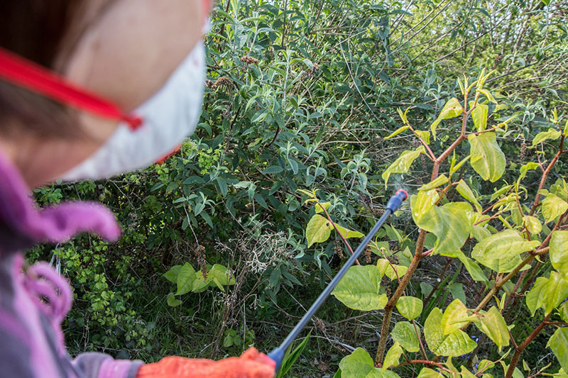 pulvérisateur professionnel sur arbre